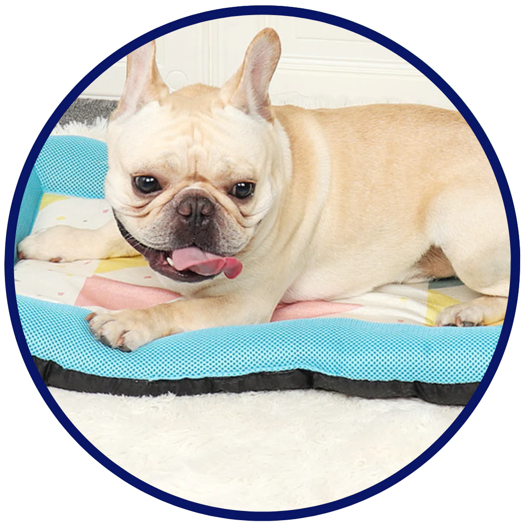 Breathable Pet Cooling Pad
