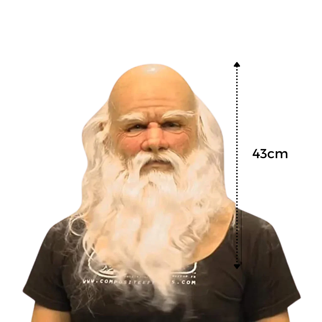 Funny Christmas Santa Face Mask