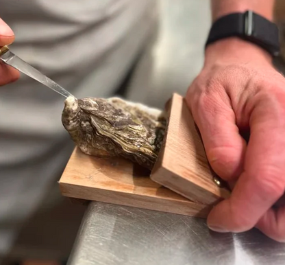 Easy Shellfish Opening Tool