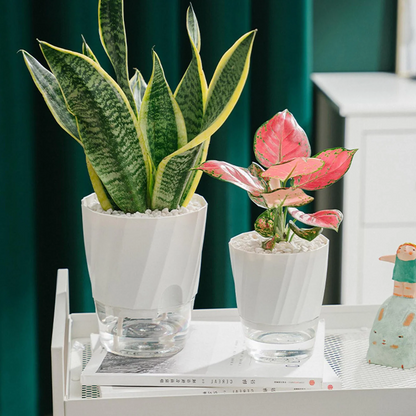 Automatic Watering Flower Pot