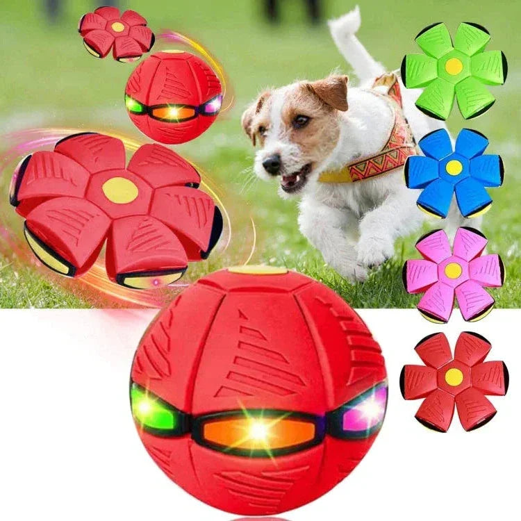 Fun Interactive Bouncy Dog Toy - Hehif