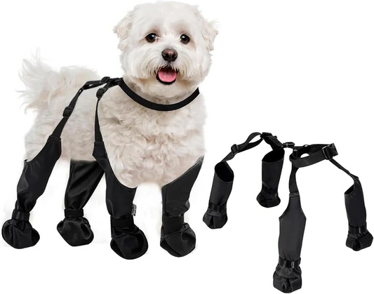 Flexible Pet Paw Boots - Hehif