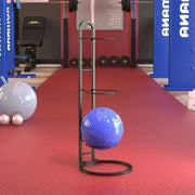 Durable Ball Storage Shelf