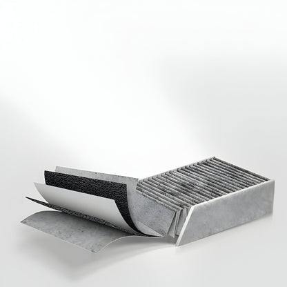 Powerful Air Purifier with Carbon Filter Technology