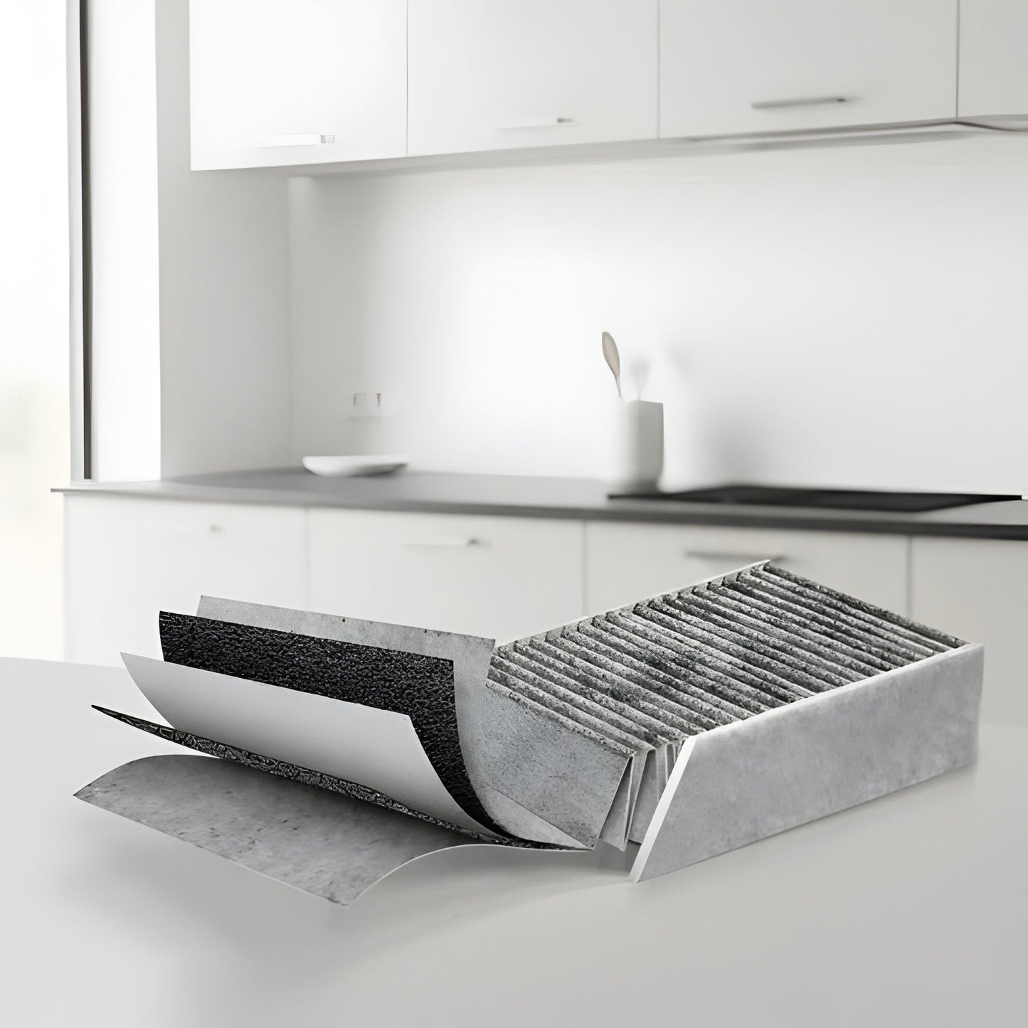 Powerful Air Purifier with Carbon Filter Technology