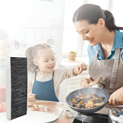 Powerful Air Purifier with Carbon Filter Technology