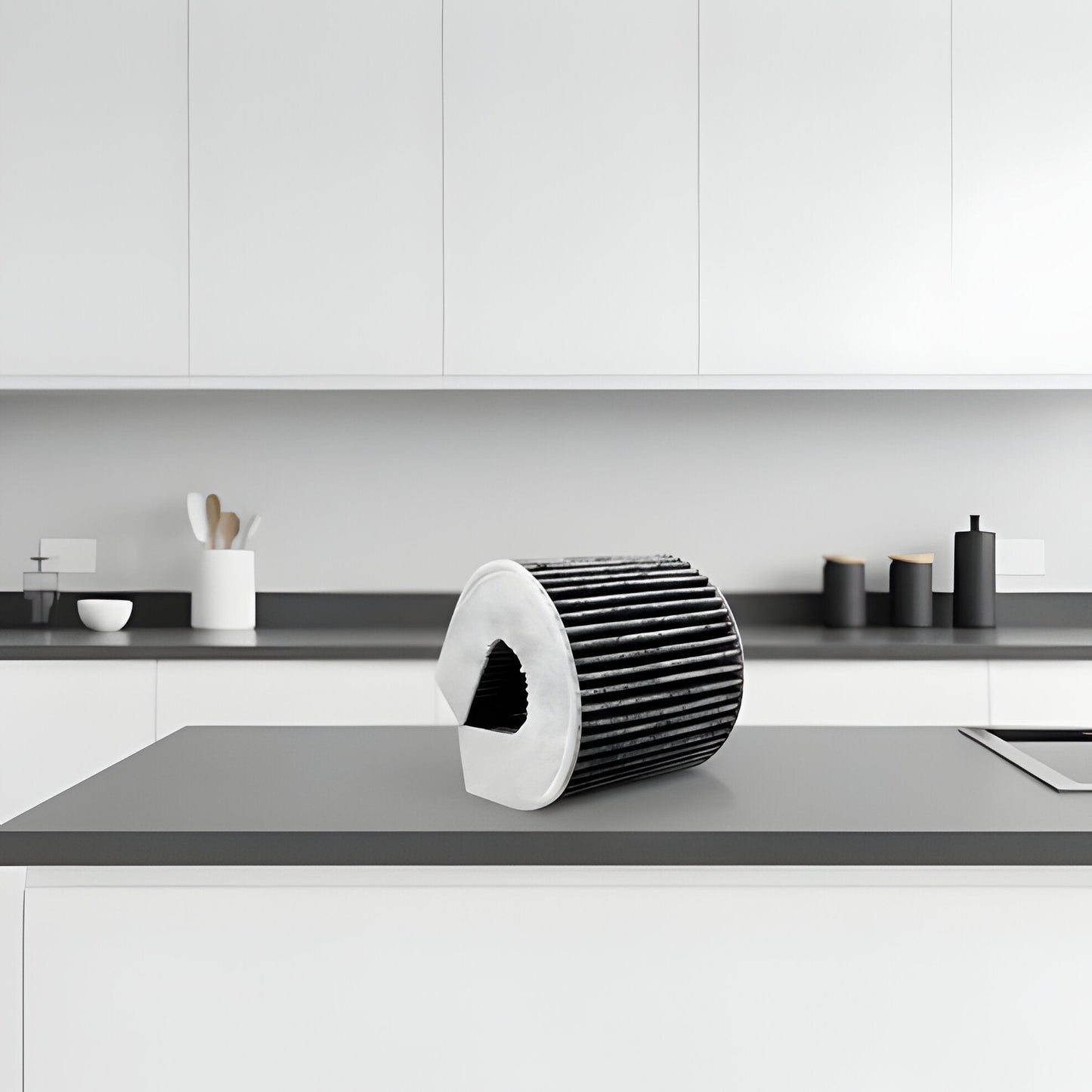 Powerful Air Purifier with Carbon Filter Technology