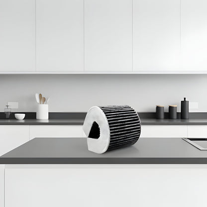 Powerful Air Purifier with Carbon Filter Technology