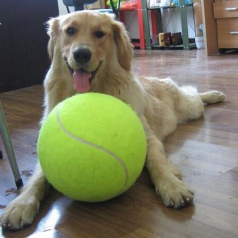 Extra Large Dog Tennis Ball 24cm - Hehif