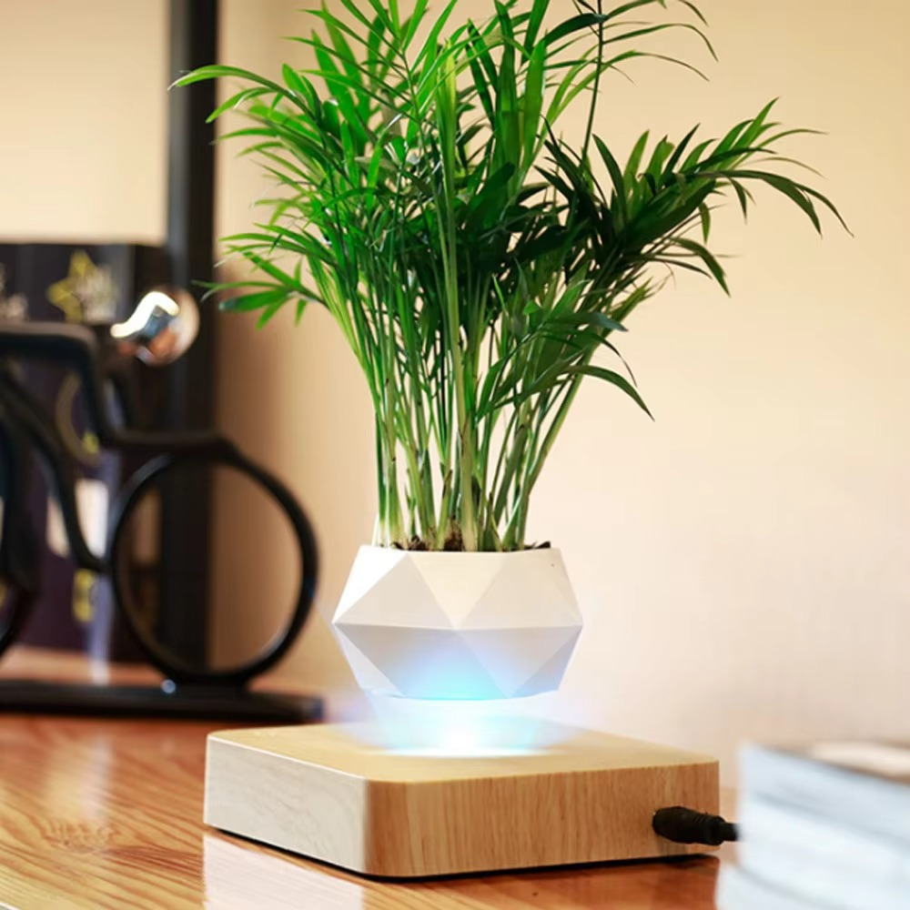 Floating Magnetic Self Watering Pot