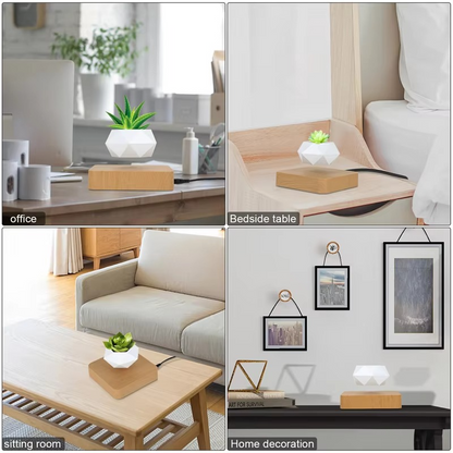 Suspended Air Bonsai Pot, Floating Desk Planter