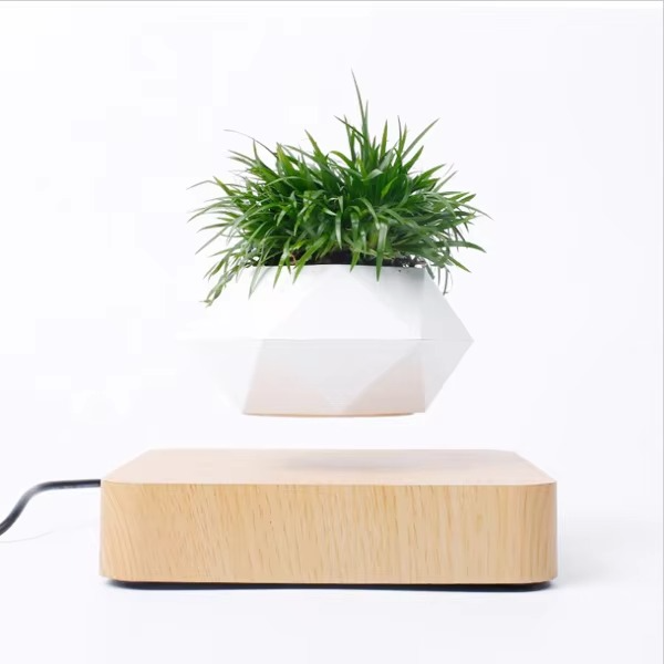 Suspended Air Bonsai Pot, Floating Desk Planter