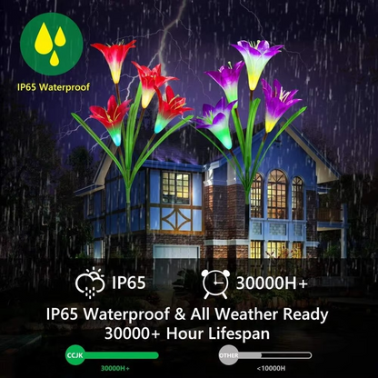 Outdoor Solar Powered Garden String Lights