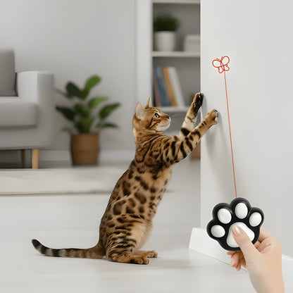 Fun Pet Laser Pointer with 5 Speed Settings