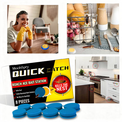 Non Toxic Roach Catcher Traps