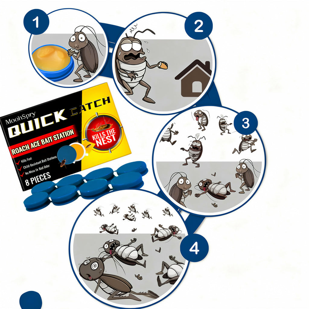 Non Toxic Roach Catcher Traps