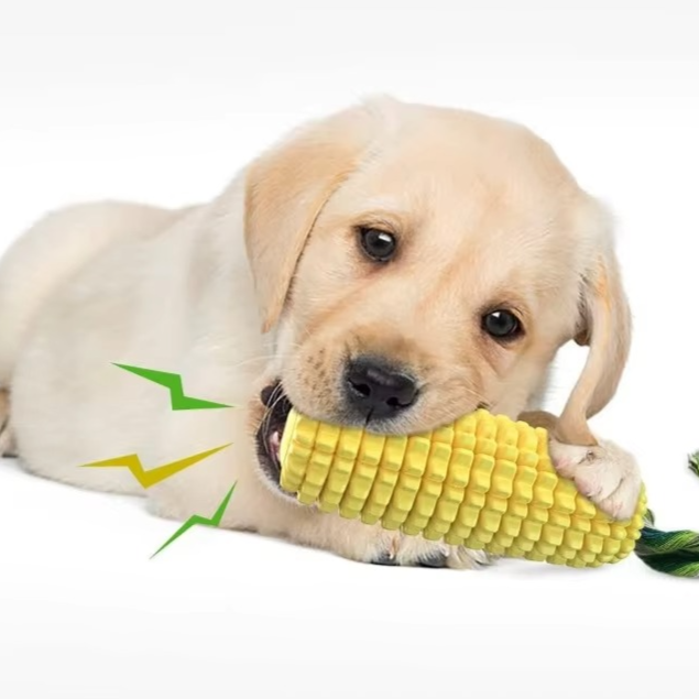 Durable Squeaky Corn Dog Toy for Active Pets