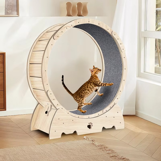 Fun Pet Running Wheel with Soft Surface - Hehif