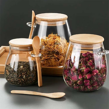 Large Clear Kitchen Storage Container with Tight Fitting Lid