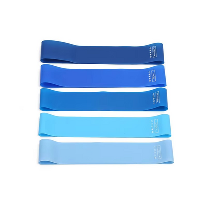 Home Gym Exercise Resistance Band Kit