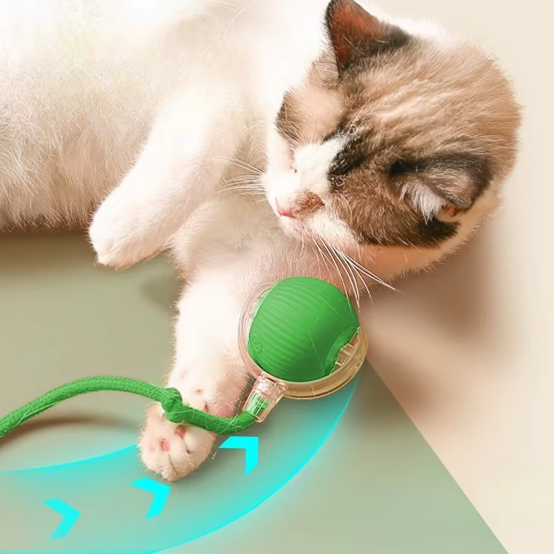 Fun Electronic Cat Toy with Feather Teaser and Auto Mouse