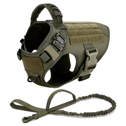 Durable Dog Vest Harness and Lead Set for Big Dogs