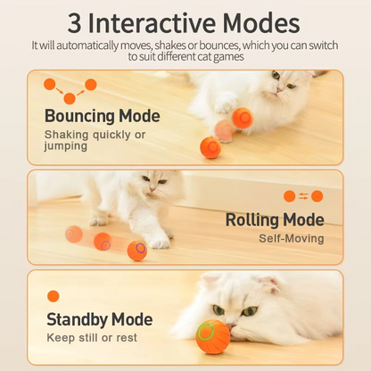 Fun Interactive LED Cat Toy Ball