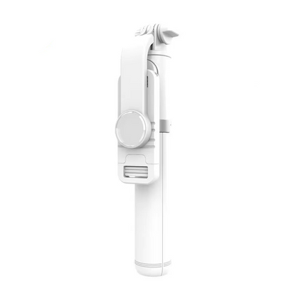 Wireless Selfie Stick with LED Light and Remote