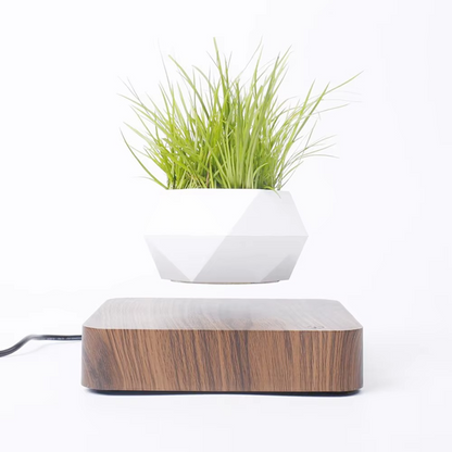 Suspended Air Bonsai Pot, Floating Desk Planter