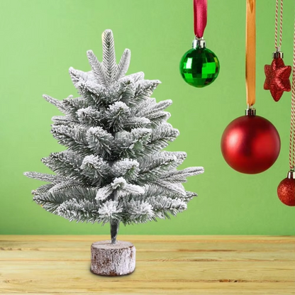 Small Authentic Tabletop Pine Christmas Tree with Wood Stand