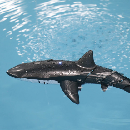 Fun RC Shark Water Toy for Kids
