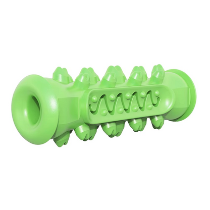 Big Dog Dental Chew Toy with Treat Dispenser