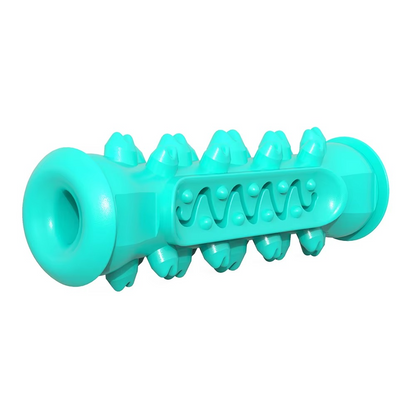 Big Dog Dental Chew Toy with Treat Dispenser