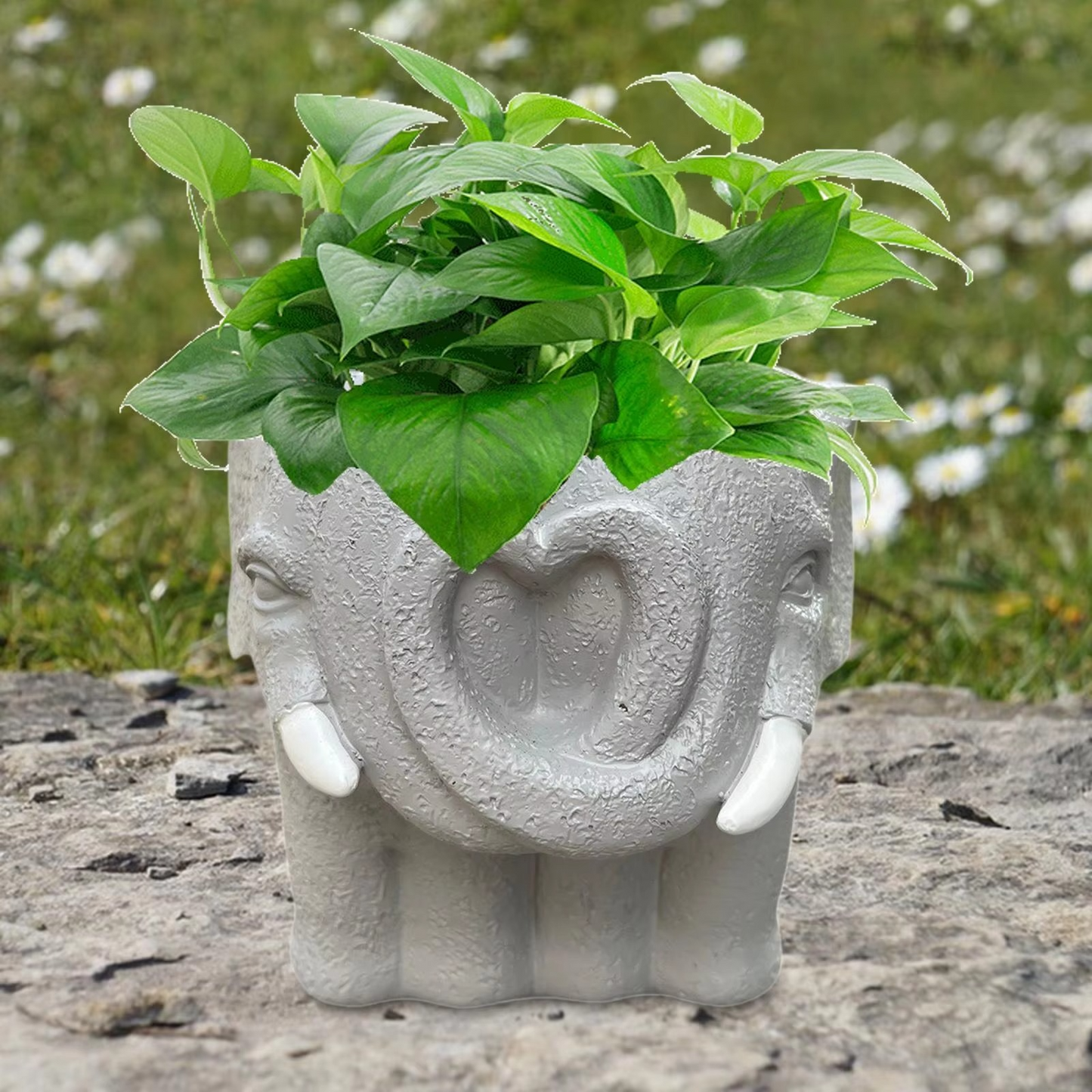 Cute Small Ceramic Planter Pot for Home Decor