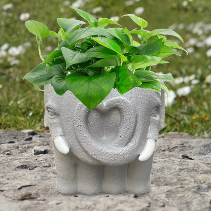 Cute Small Ceramic Planter Pot for Home Decor