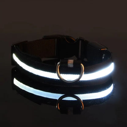 Bright Night Dog Leash with Reflective Safety Strip