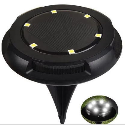 Colorful Outdoor Solar Powered LED Path Lights