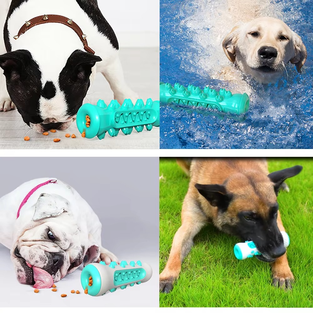 Big Dog Dental Chew Toy with Treat Dispenser