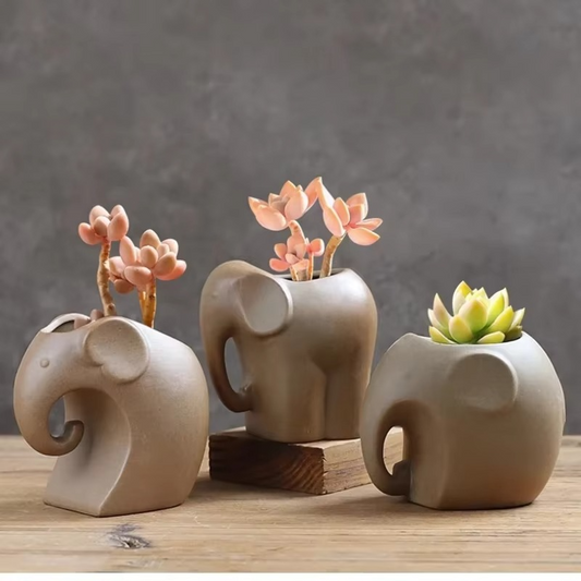 Unique Clay Mini Succulent Plant Pots - Hehif