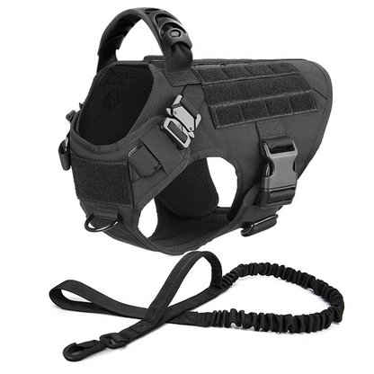 Durable Dog Vest Harness and Lead Set for Big Dogs