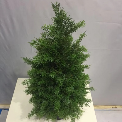 Realistic Cypress Tree with Green Leaves for Home Decor