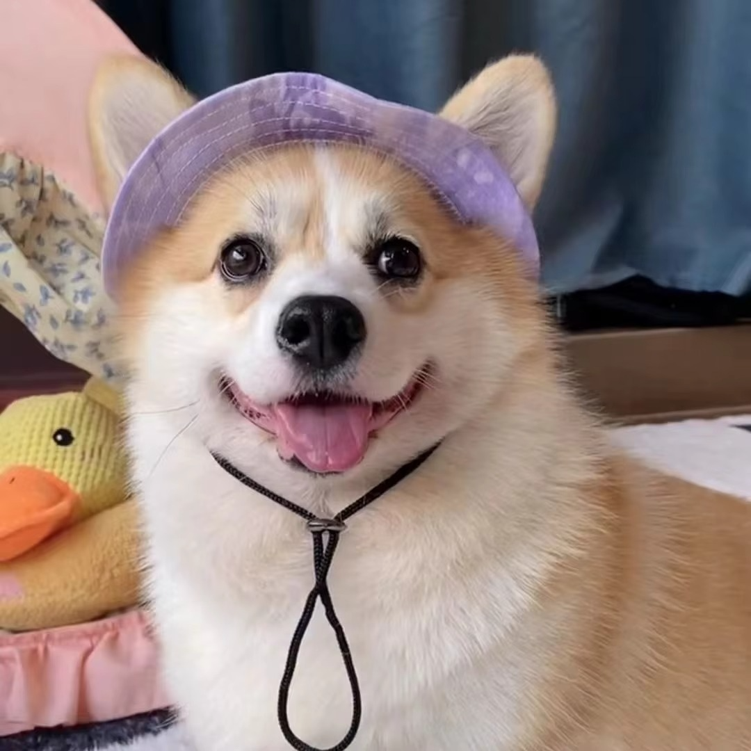 Cooling Pet Sun Cap