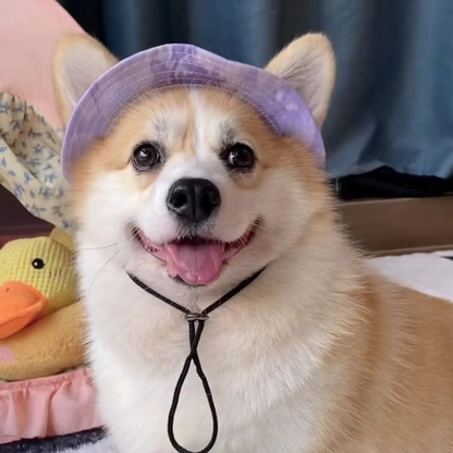 Cooling Pet Sun Cap