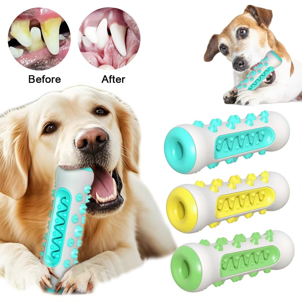 Big Dog Dental Chew Toy with Treat Dispenser