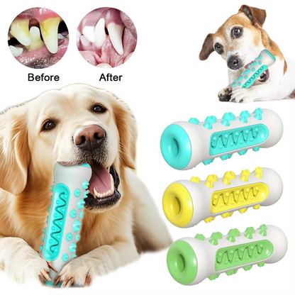Big Dog Dental Chew Toy with Treat Dispenser