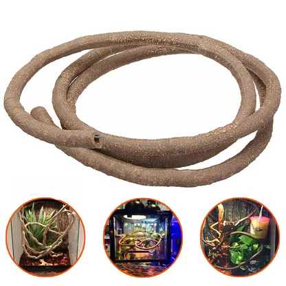 Natural Jungle Plant Terrarium Decoration