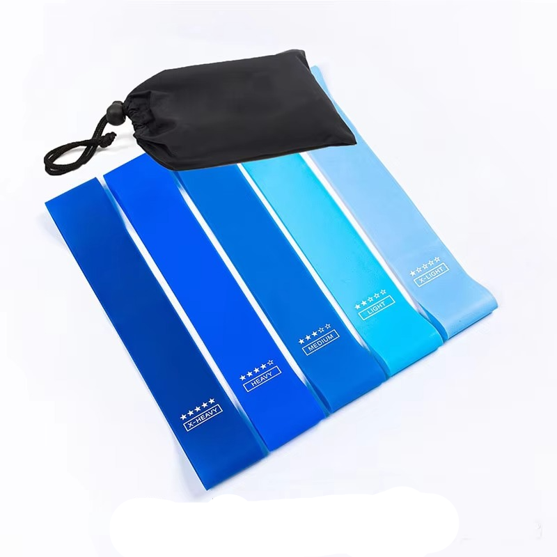 Home Gym Exercise Resistance Band Kit