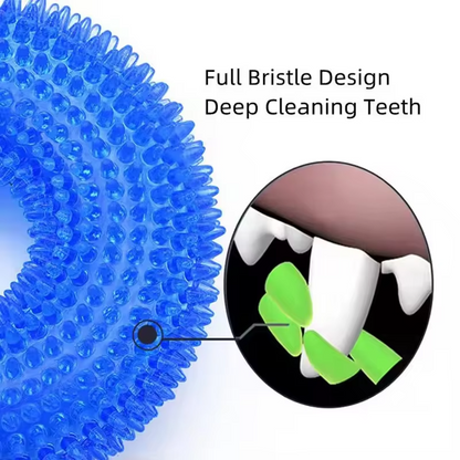 Tough Squeaky Dog Chew Ring - Rubber Dental Toy