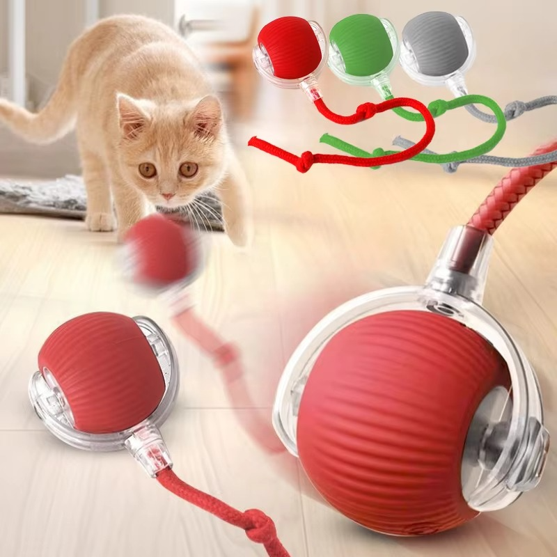 Fun Electronic Cat Toy with Feather Teaser and Auto Mouse