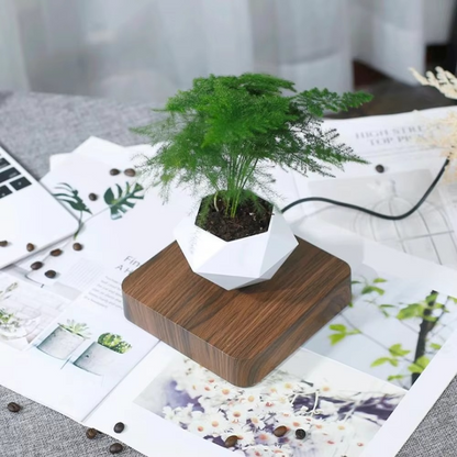 Floating Magnetic Self Watering Pot